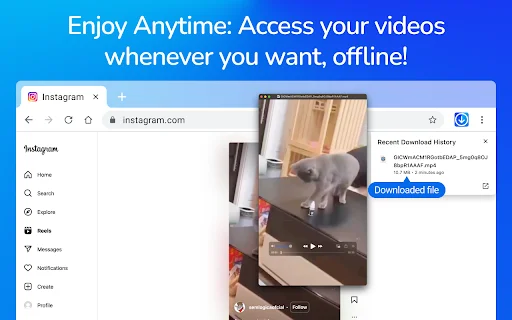 Video Downloader Pro: I-download ang mga Video nang Mabilis at Libre - Screenshot 5